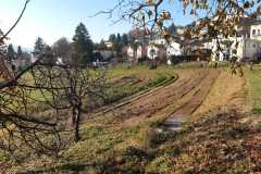 IMG-20201128-WA0003