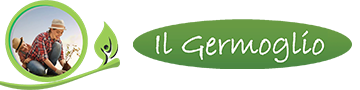 Il Gemmo